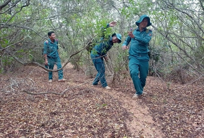 Ba huyện Nam Trung bộ cảnh báo cháy rừng cấp cực kỳ nguy hiểm